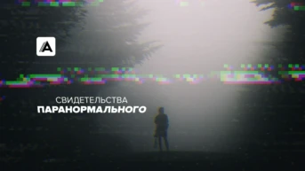 1-я серия
