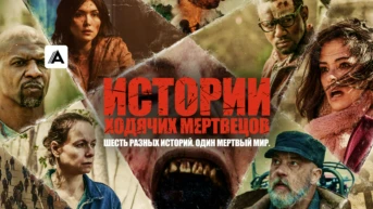 Дона
