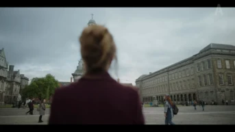 Когда Гарри встретила Фергюса