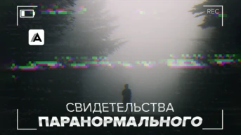 Серия 5